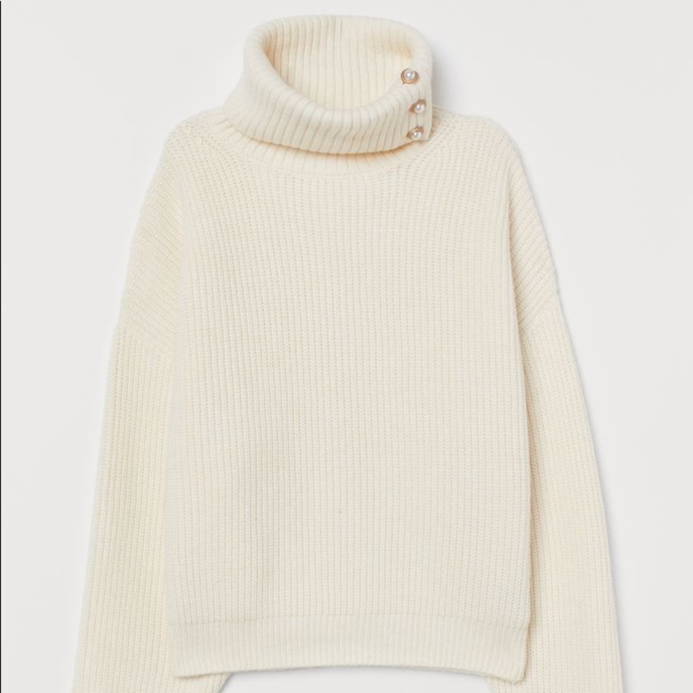 H&M Rib-knit Turtleneck Sweater with Pearl
